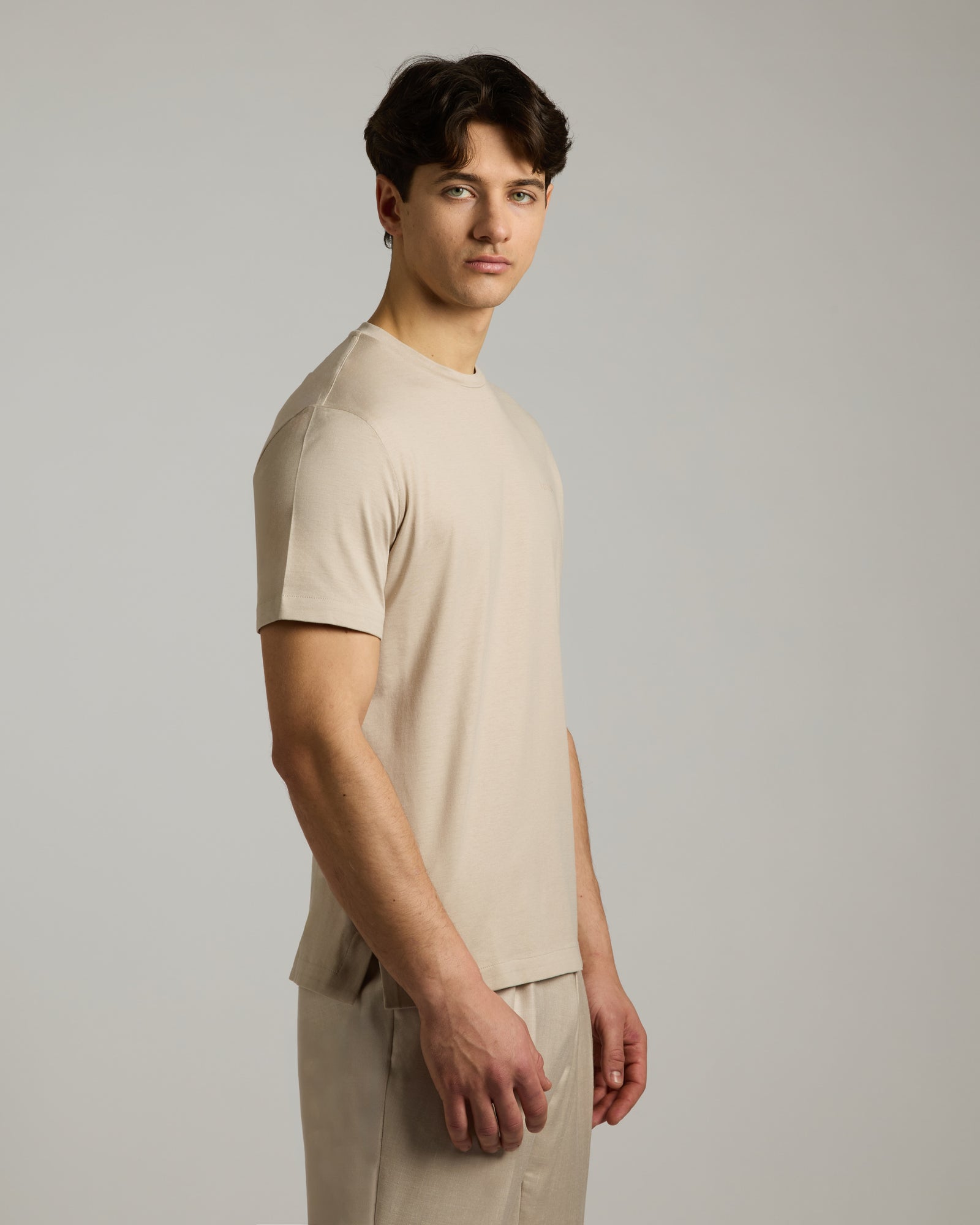 Crew Neck Cotton and Silk T-Shirt 2