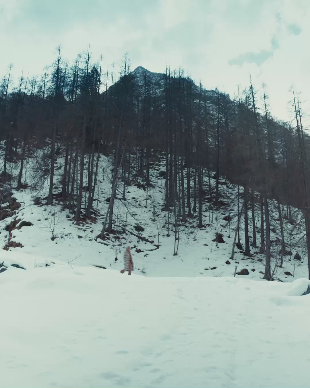 Check coat in cashmere, alpaca, and wool