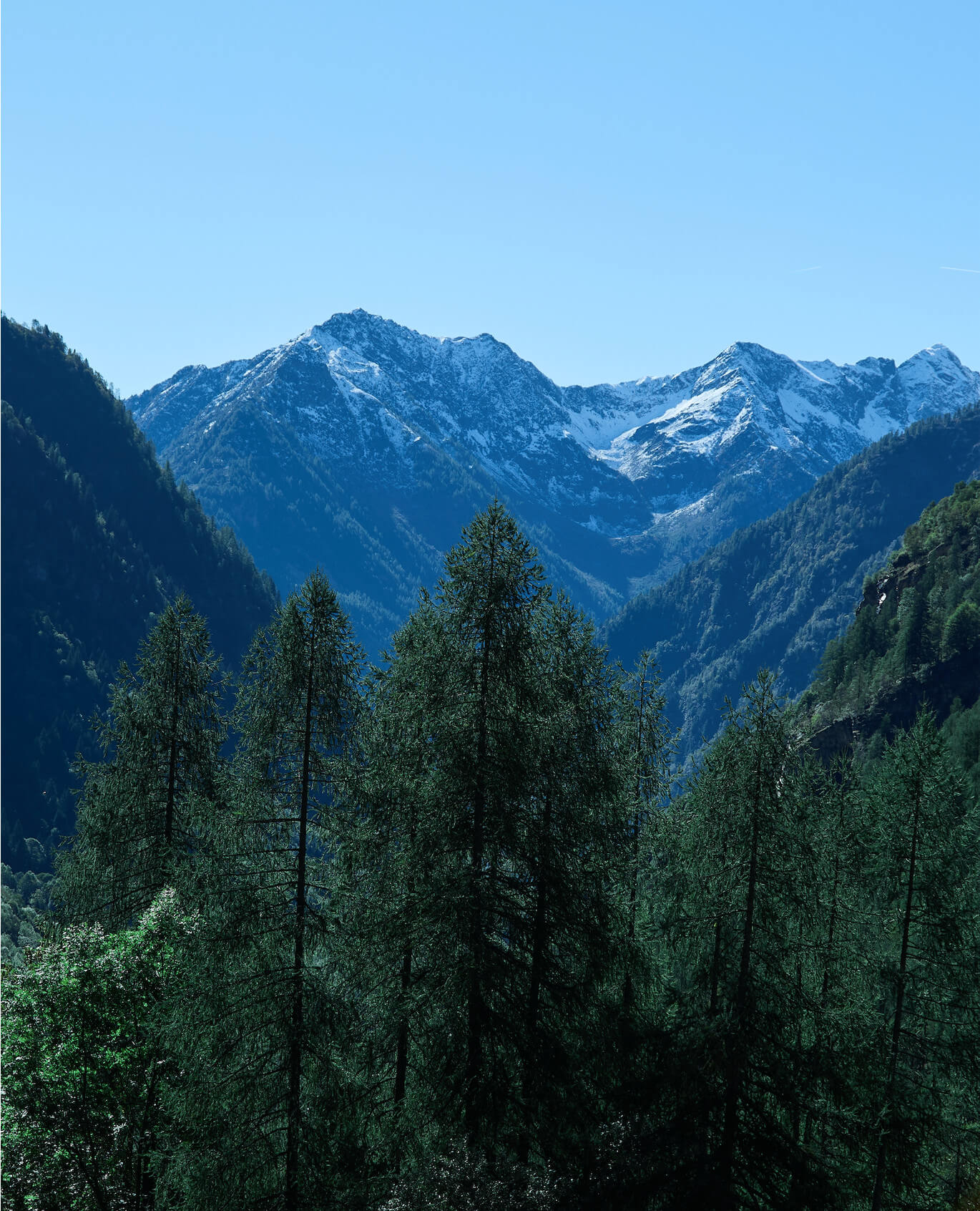 Valsesia